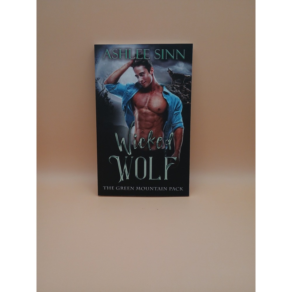 Ashlee Sinn Paranormal Romance Bundle 5pk Signed Wicked Wolf Vampire Huntress - Picture 4 of 16
